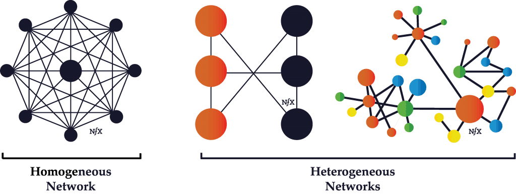 Homogeneous Network vs Heterogeneous Network