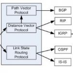 Routing Protocol