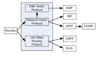 Routing Protocols