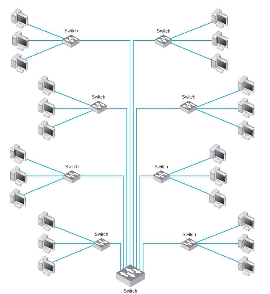 Backbone in networking
