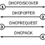 Explaining DHCP process.