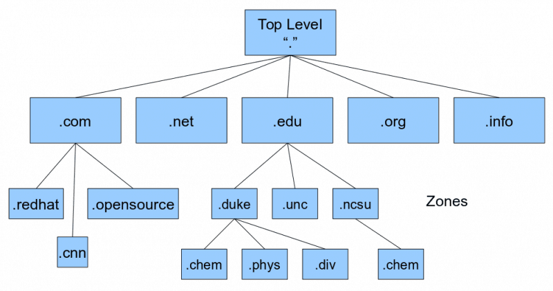 DNS database