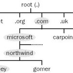 Domain Name System (DNS)