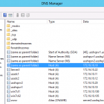 Address Record (DNS Server)