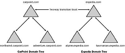 Two trees domain forest