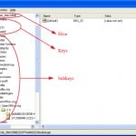 Hive (Registry)