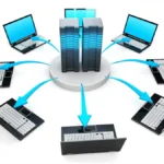 Host in Networking