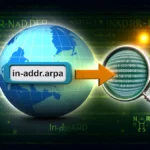 Inverse Queries: the intriguing process of reverse DNS lookups.