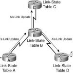 Link State Routing Algorithm