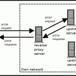 Reverse Hosting