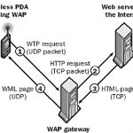 Wap