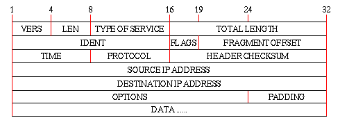 IP Datagram