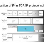 Internet Protocol (IP)