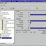 Microsoft Transaction Server