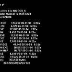 MS-DOS