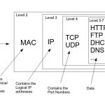 Network Packet