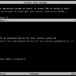 Dual Boot