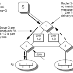 Multicast forwarding algorithms