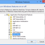 Internet Server Application Programming Interface - ISAPI