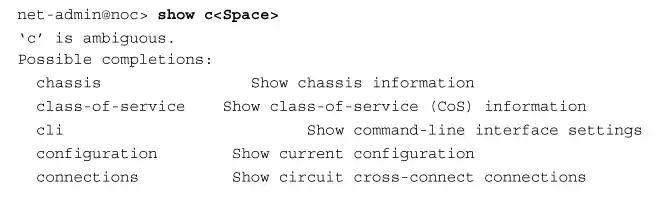 JUNOS Show Command