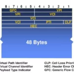 Payload Type Indicator (PTI)