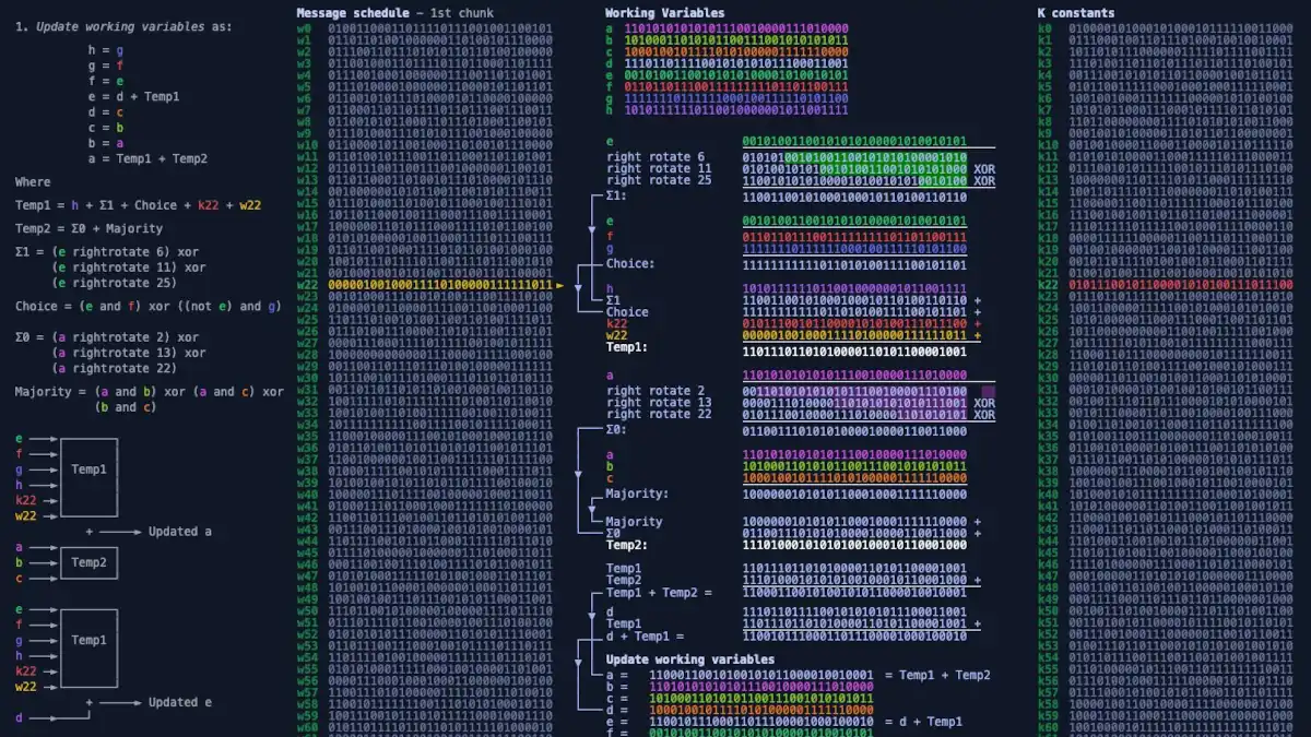 SHA-256 Unmasked: Deciphering Cryptographic Hash Functions