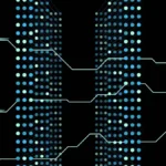 Large Language Models (LLMs)