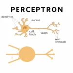 What is a Perceptron in AI?