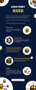 GUID Anatomy infographics